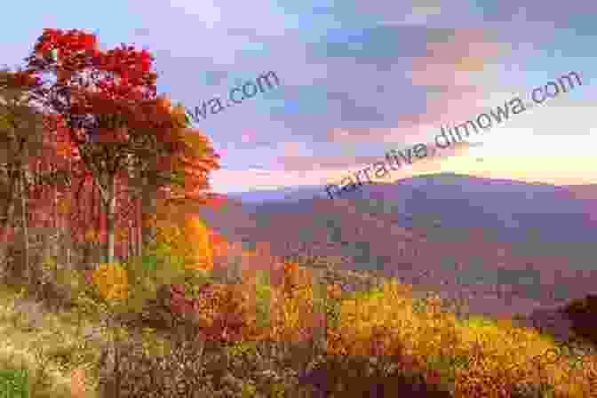 A Panoramic View Of Shenandoah National Park, Featuring A Vast Forest, Majestic Mountains, And A Winding Road Touring The Shenandoah Valley Backroads