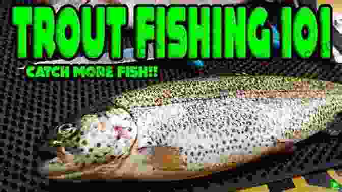 Expert Angling Advice For Fishing Success Upper Sandusky And Wyandot County Ohio Fishing Floating Guide Book: Complete Fishing And Floating Information For Wyandot County Ohio (Ohio Fishing Floating Guide Books)