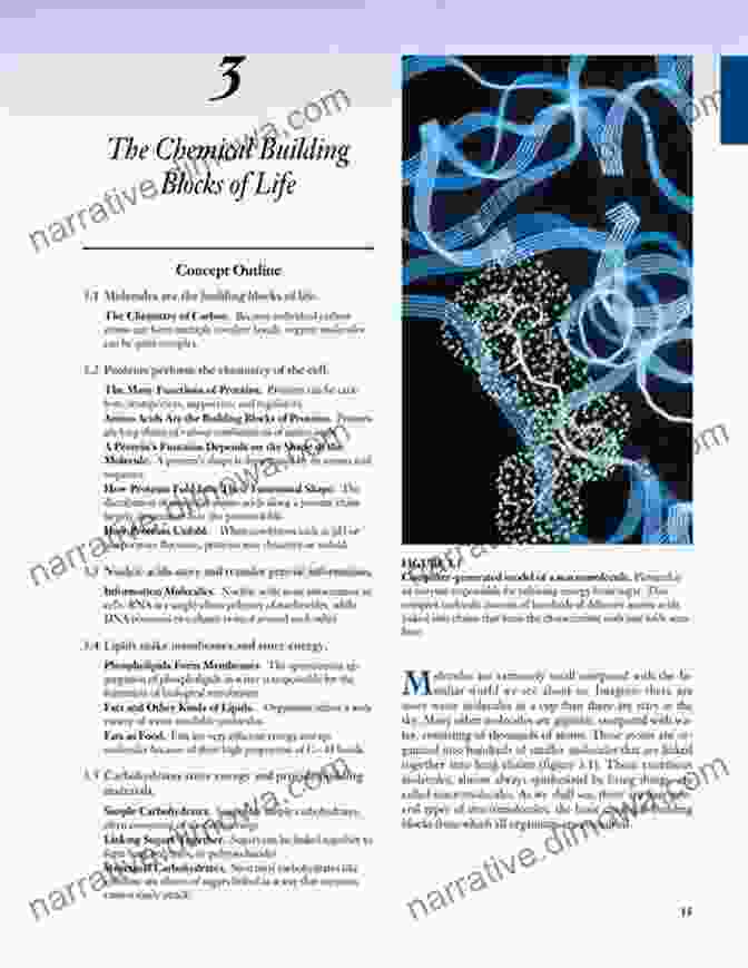 Image Illustrating The Chemical Building Blocks And Processes Involved In The Origins Of Life Biochirality: Origins Evolution And Molecular Recognition (Topics In Current Chemistry 333)