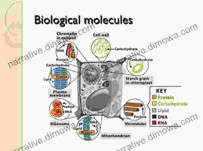 Image Illustrating The Complex Interactions Between Molecules That Govern Biological Functions Biochirality: Origins Evolution And Molecular Recognition (Topics In Current Chemistry 333)