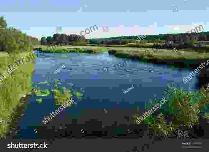 Panoramic View Of Tranquil River Flowing Through Verdant Meadows, Surrounded By Serene Lakes Glimmering Under The Azure Sky. Historic Nevada Waters: Four Rivers Three Lakes Past And Present