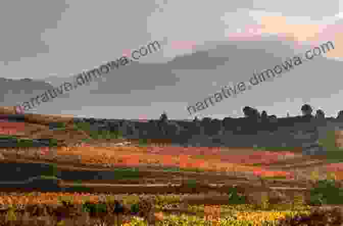 Stunning Spanish Landscape With Mountains And Vineyards Life Beyond The Castanets: My Love Affair With Spain (Moving To Spain 2)