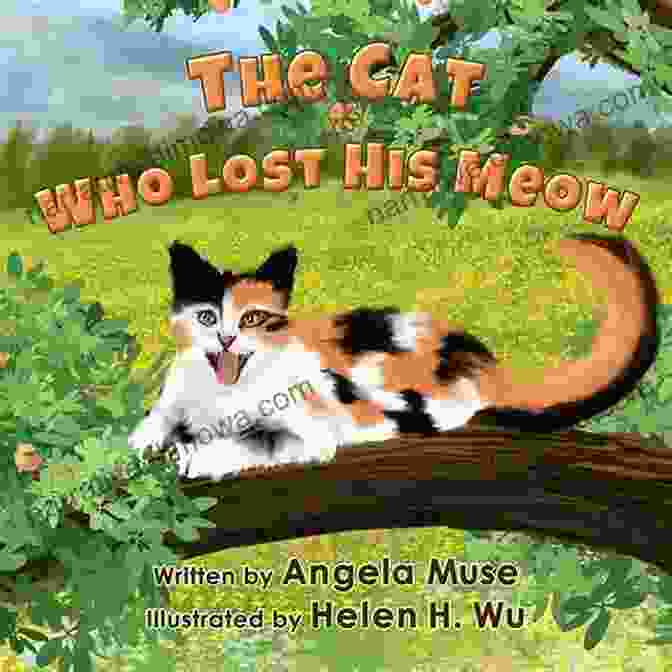 The Cat Who Lost His Meow Book Cover Featuring A Black And White Cat With A Mysterious Expression The Cat Who Lost His Meow