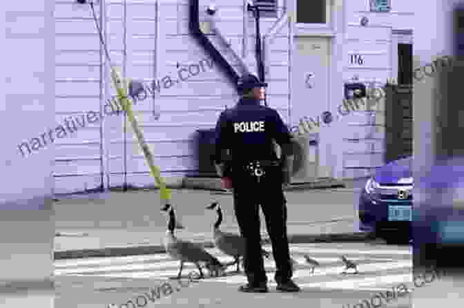 The Geese Police Standing Together, Looking Proud And Determined Geese Police On Patrol Lynda Bulla