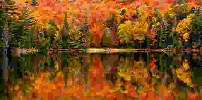 Vibrant Autumn Foliage In Algonquin Park Sampler 12 Ontario In Colour Photos: Saving Our History One Photo At A Time (Sampler Cruising Ontario)