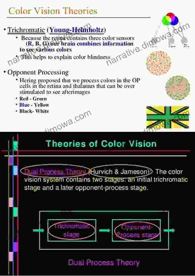 Young Helmholtz Theory Of Color Vision Treatise On Physiological Optics Volume III (Dover On Physics 3)