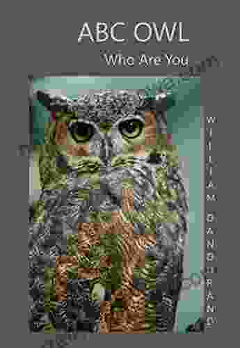 ABC Owl: Who Are You