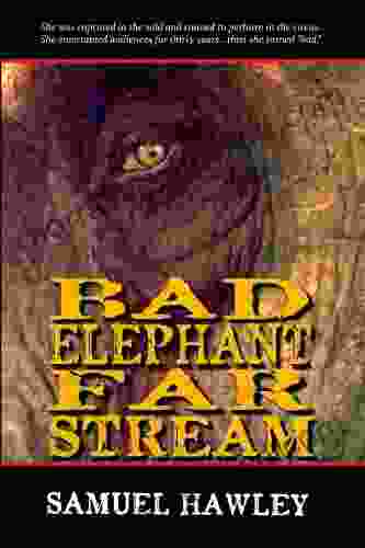 Bad Elephant Far Stream Samuel Hawley