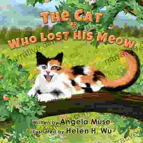 The Cat Who Lost His Meow