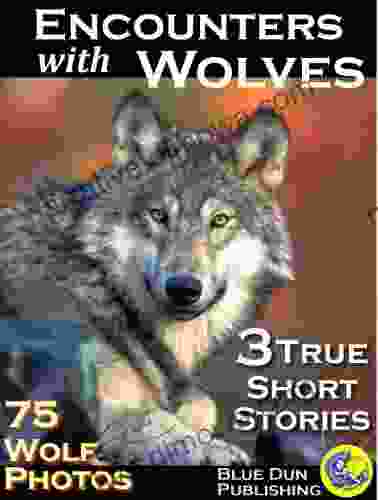 Encounters With Wolves 75 Wolf Pictures 3 True Short Stories