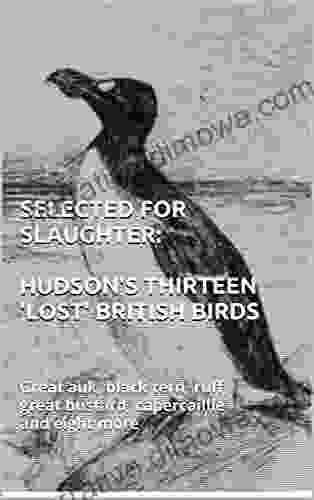 SELECTED FOR SLAUGHTER: HUDSON S THIRTEEN LOST BRITISH BIRDS: Great Auk Black Tern Ruff Great Bustard Capercaillie And Eight More