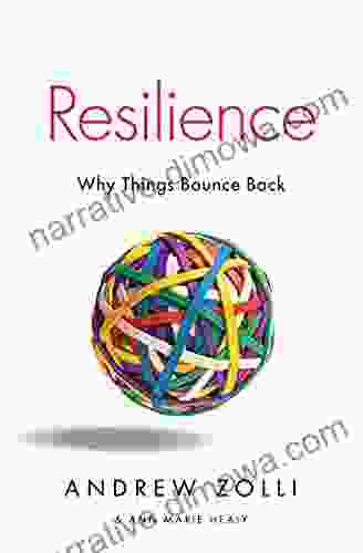 Resilience: Why Things Bounce Back