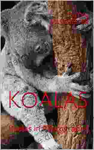 Koalas: Koalas In Photographs Andrew J Erickson