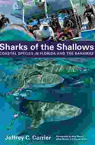 Sharks Of The Shallows Jeffrey C Carrier